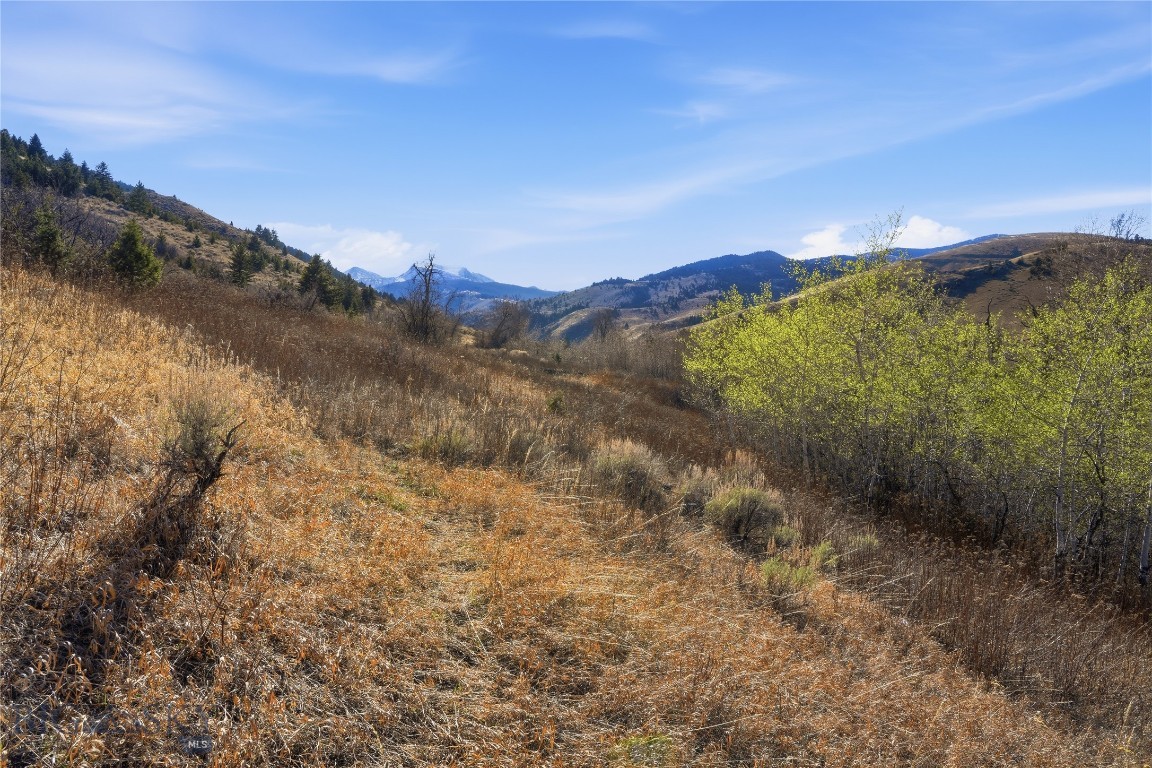 Tbd Pony Original Townsite Property Photo 25