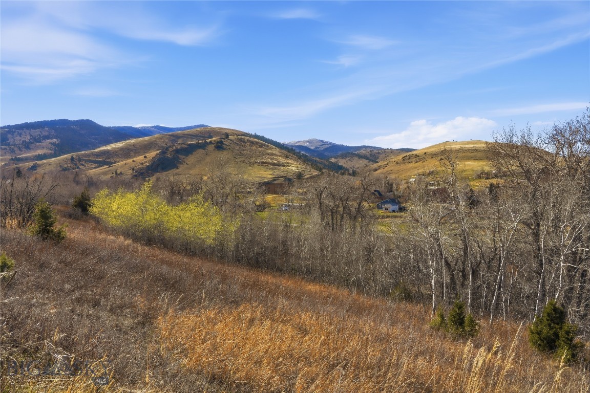 Tbd Pony Original Townsite Property Photo 26