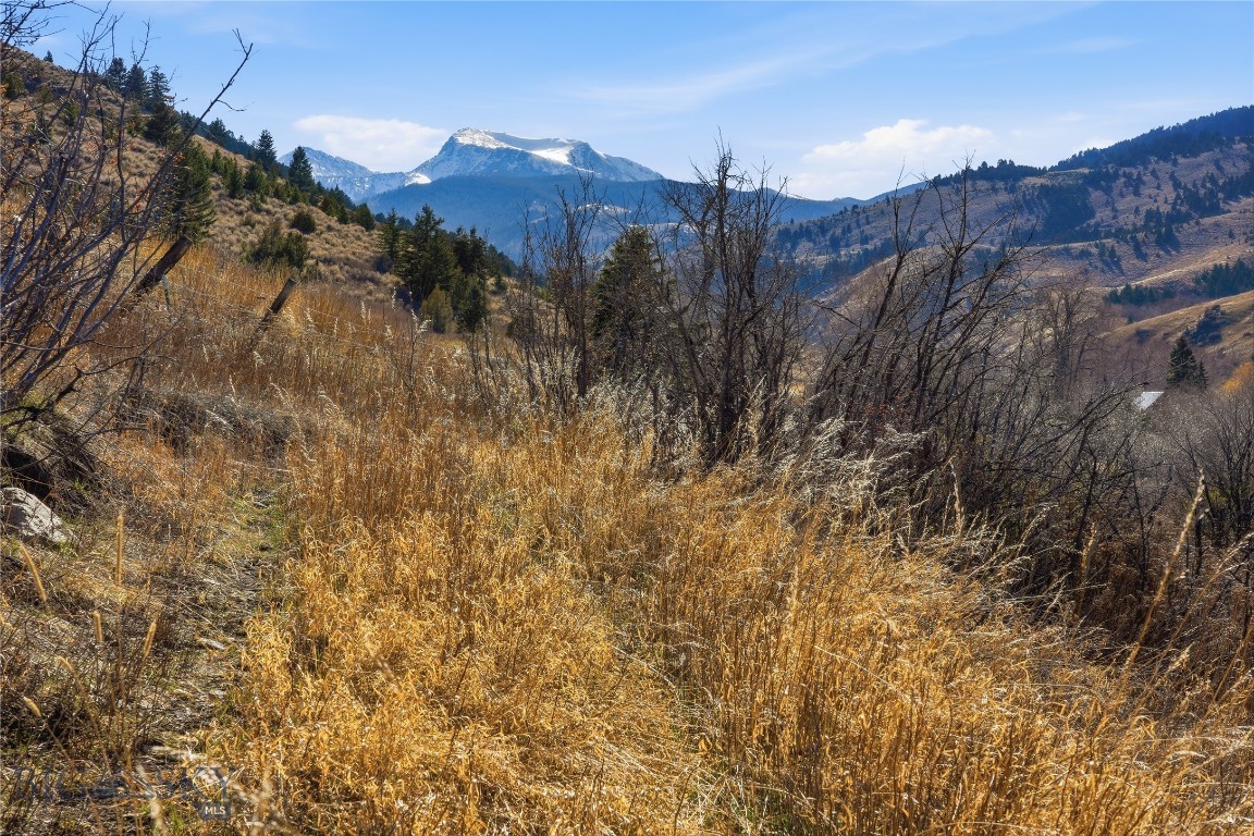 Tbd Pony Original Townsite Property Photo 28