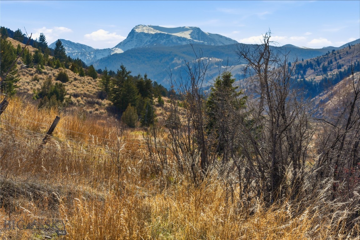 Tbd Pony Original Townsite Property Photo 29