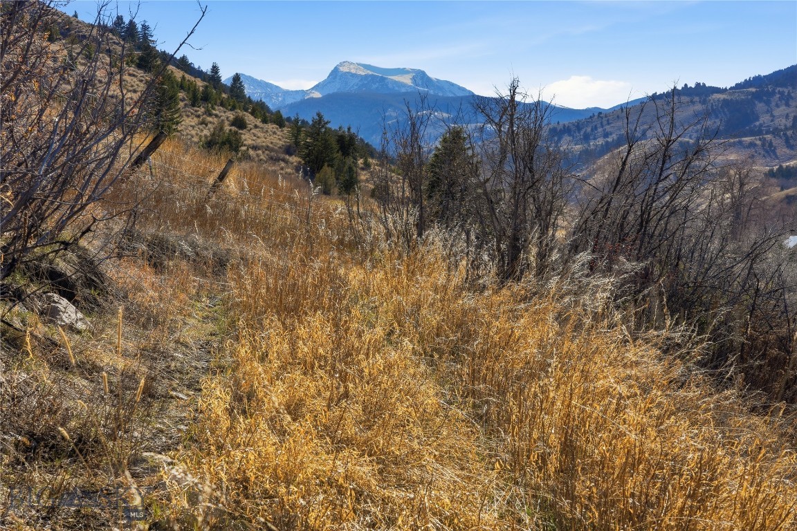 Tbd Pony Original Townsite Property Photo 30
