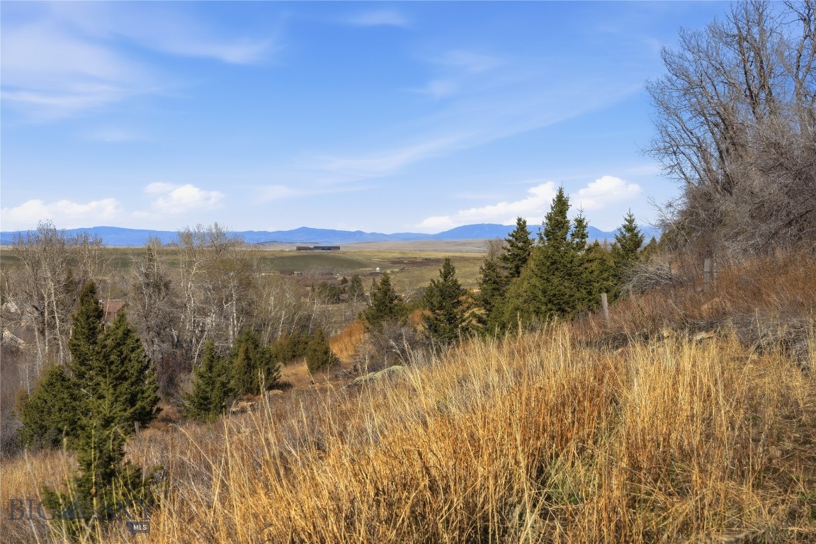 Tbd Pony Original Townsite Property Photo 31