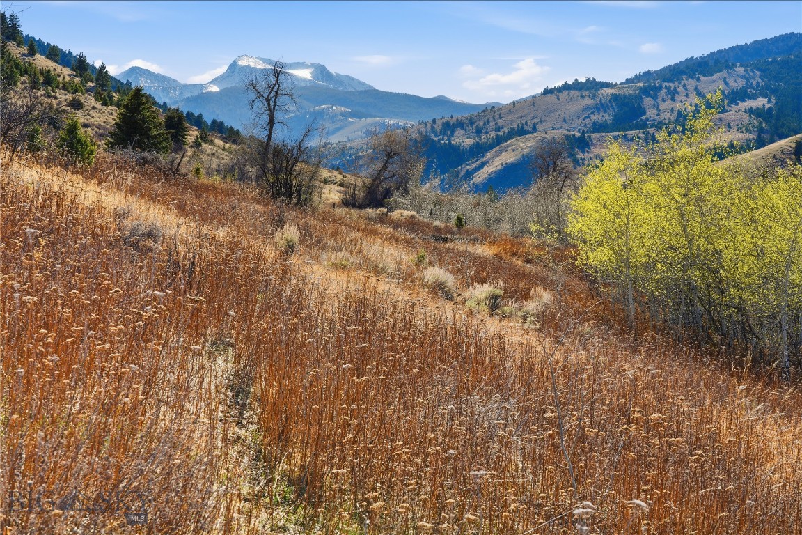 Tbd Pony Original Townsite Property Photo 32