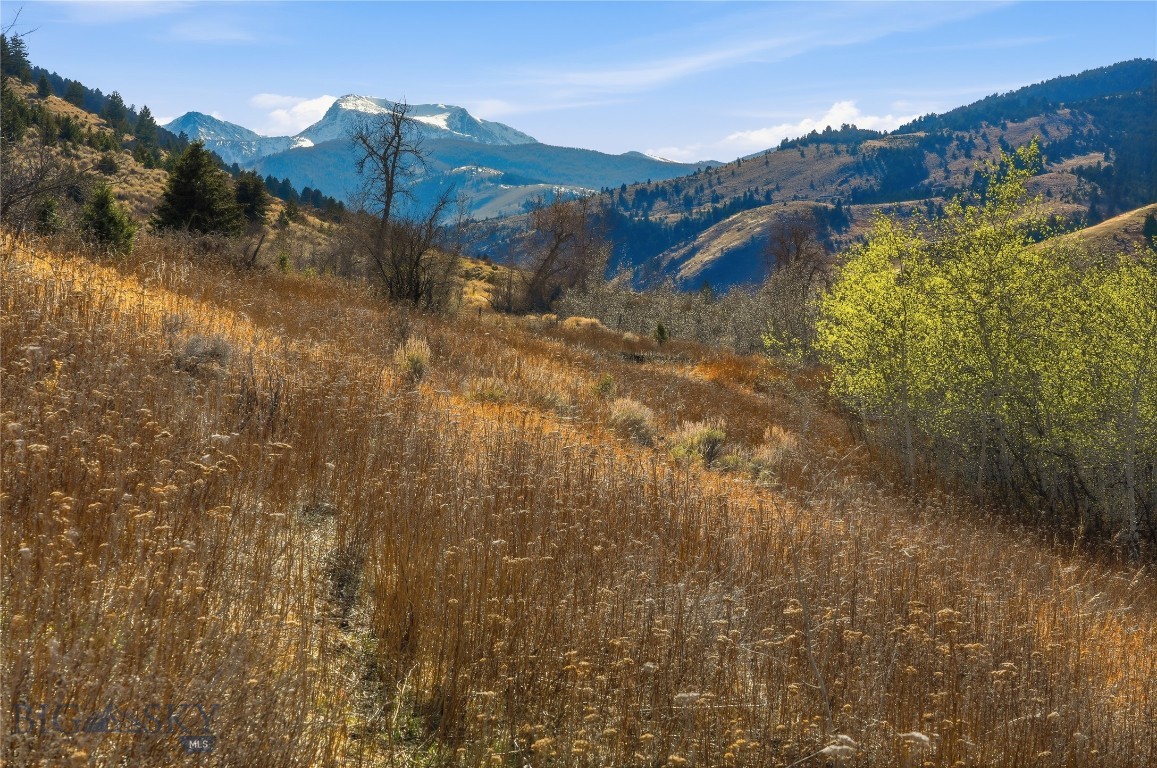 Tbd Pony Original Townsite Property Photo 33