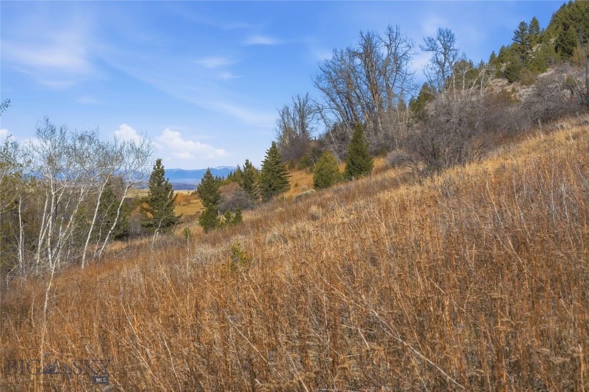 Tbd Pony Original Townsite Property Photo 34