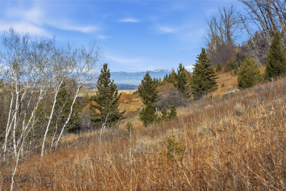 Tbd Pony Original Townsite Property Photo 35