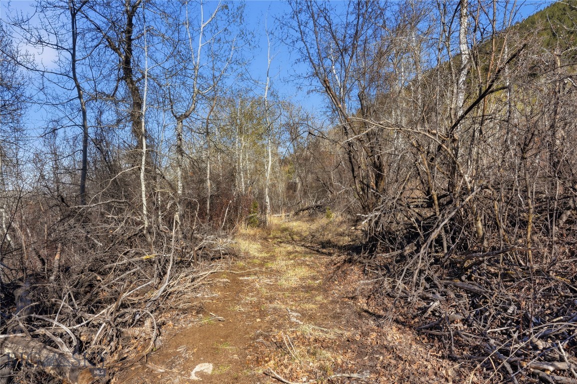 Tbd Pony Original Townsite Property Photo 36