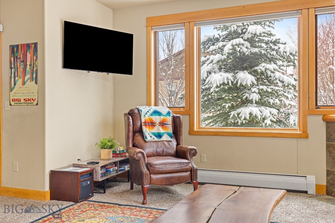 20 Limber Pine Place 1 Property Photo 17