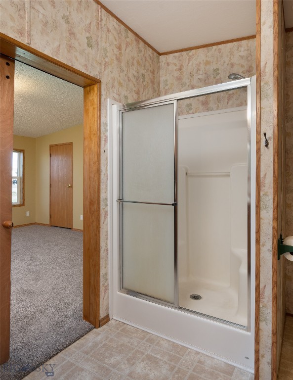 415 Tracy Ann Property Photo 20
