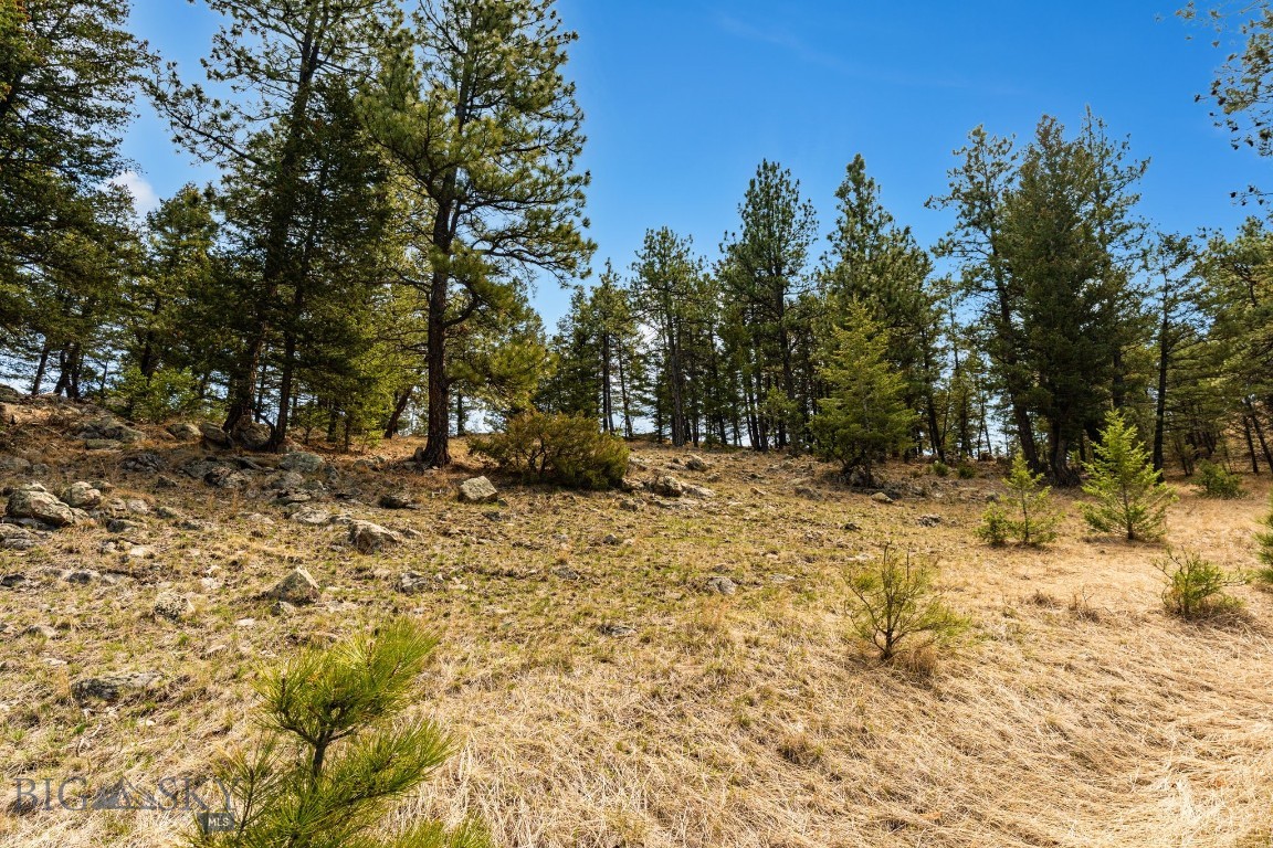 1059 State Highway 282 Property Photo 38