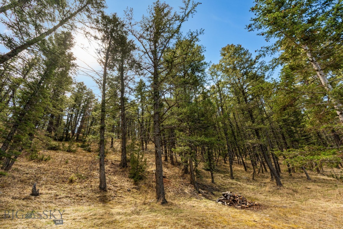 1059 State Highway 282 Property Photo 40