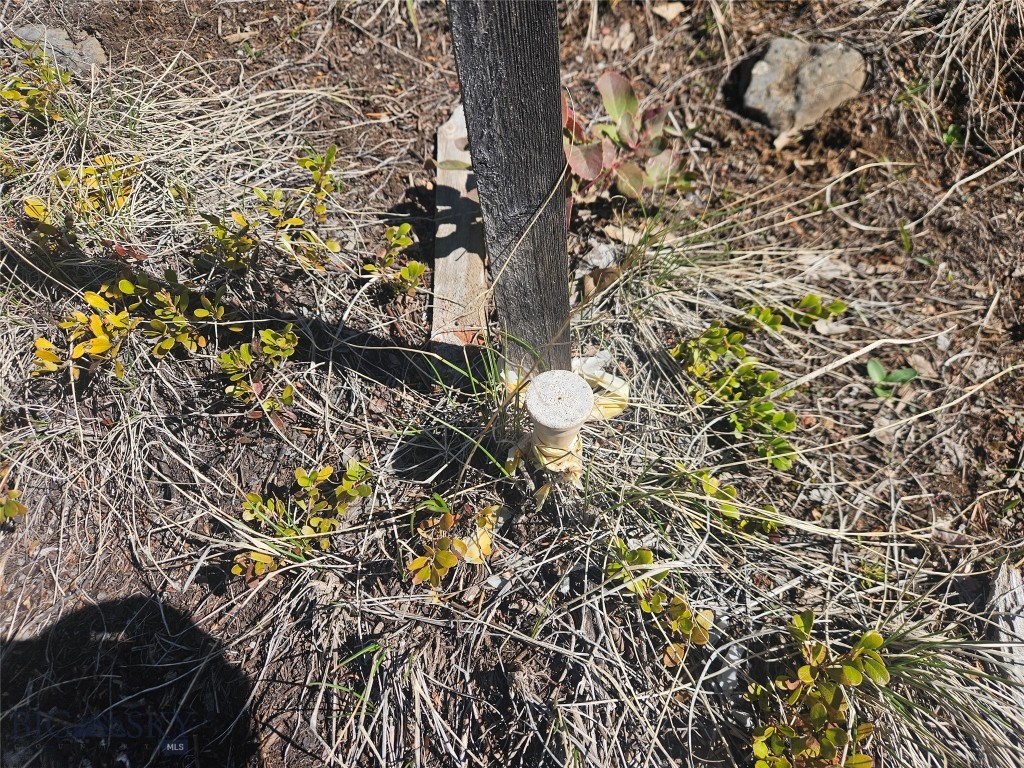 Tract J Shoot The Moon Lane Property Photo 7