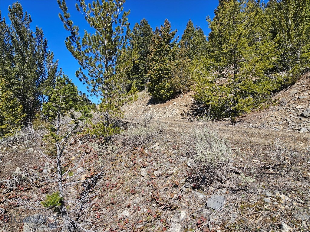 Tract J Shoot The Moon Lane Property Photo 11