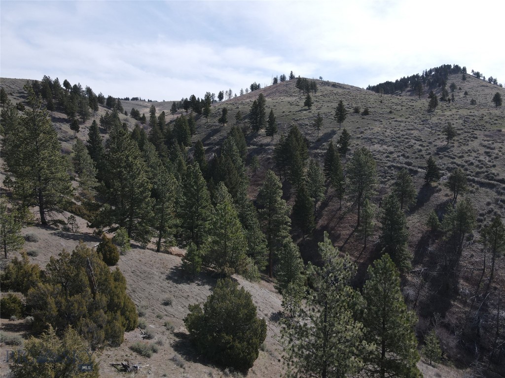 55 Upper Ross Gulch Property Photo 1