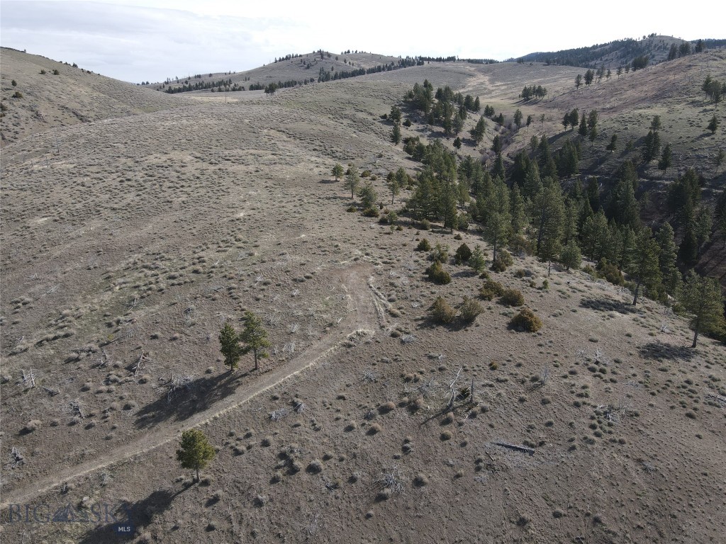 55 Upper Ross Gulch Property Photo 3