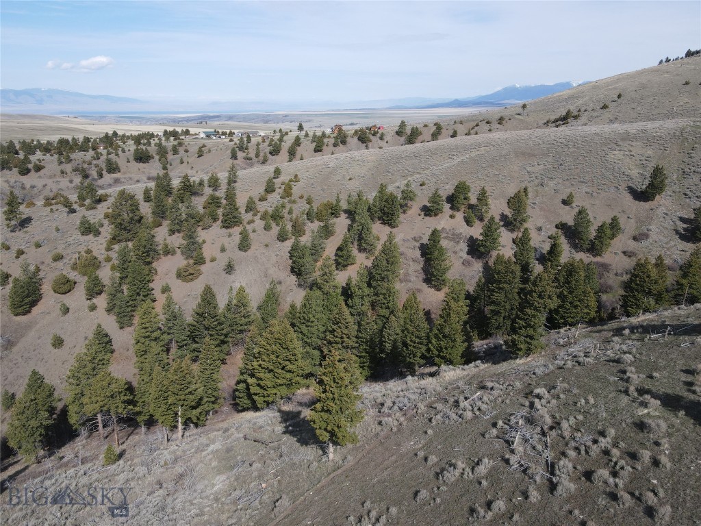55 Upper Ross Gulch Property Photo 4