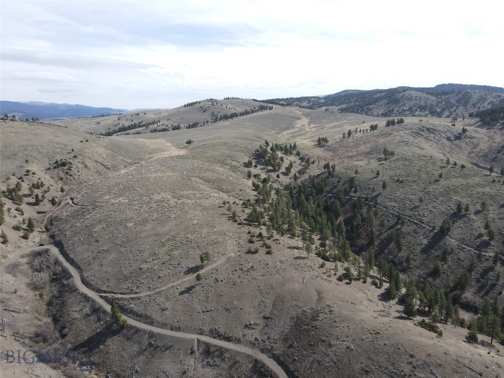 55 Upper Ross Gulch Property Photo 6