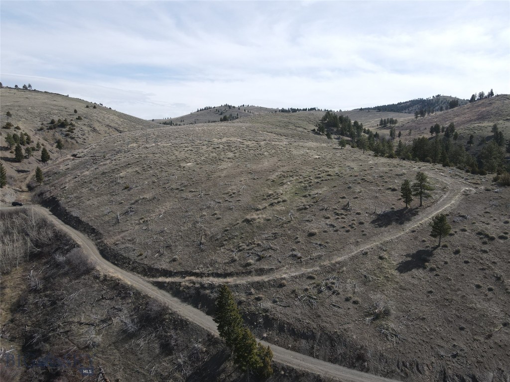 55 Upper Ross Gulch Property Photo 10