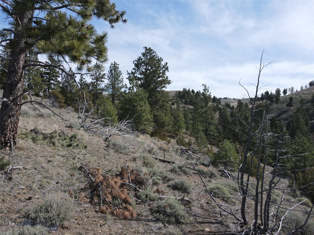 55 Upper Ross Gulch Property Photo 11