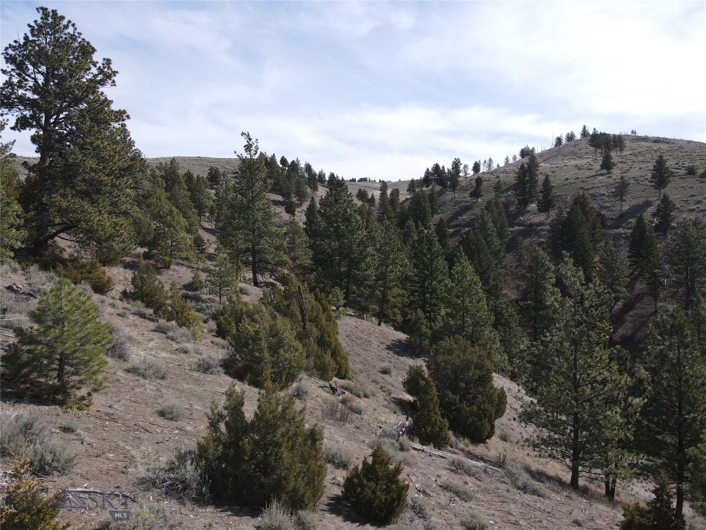 55 Upper Ross Gulch Property Photo 12
