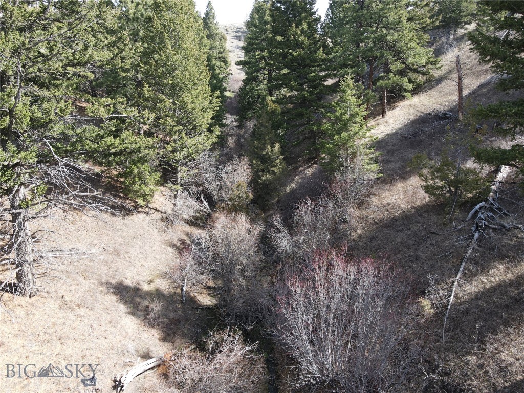 55 Upper Ross Gulch Property Photo 13