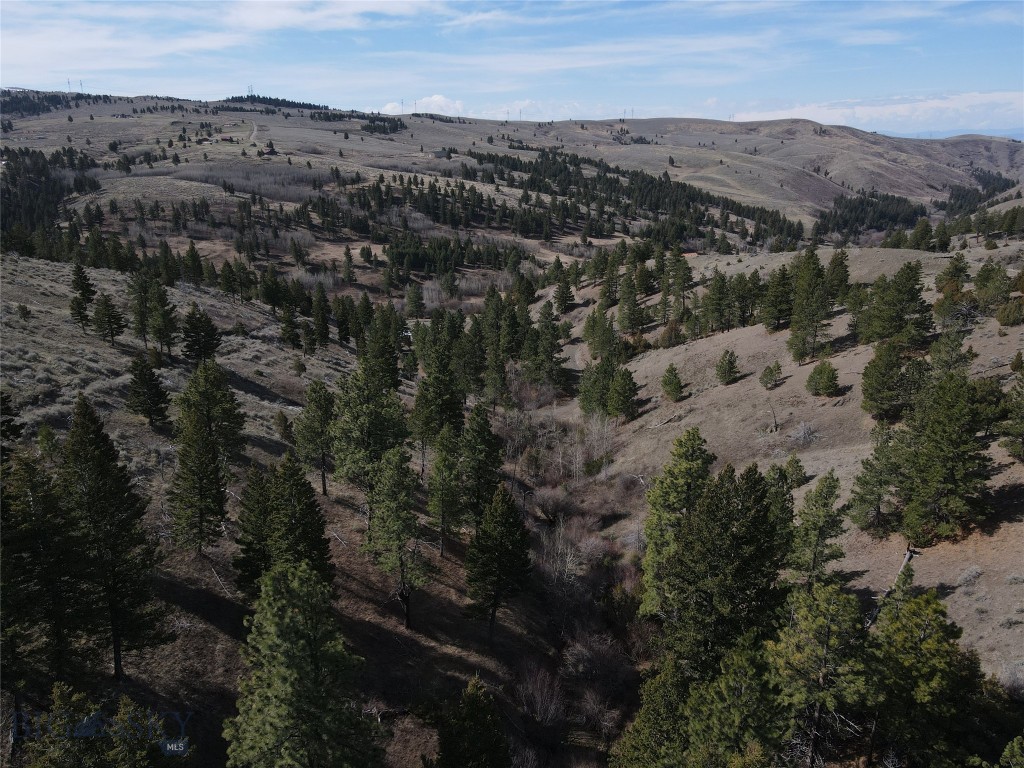 55 Upper Ross Gulch Property Photo 14