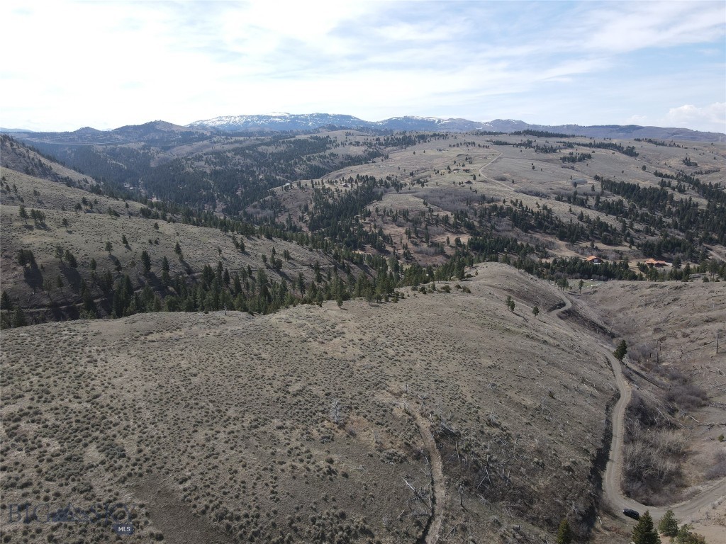 55 Upper Ross Gulch Property Photo 16