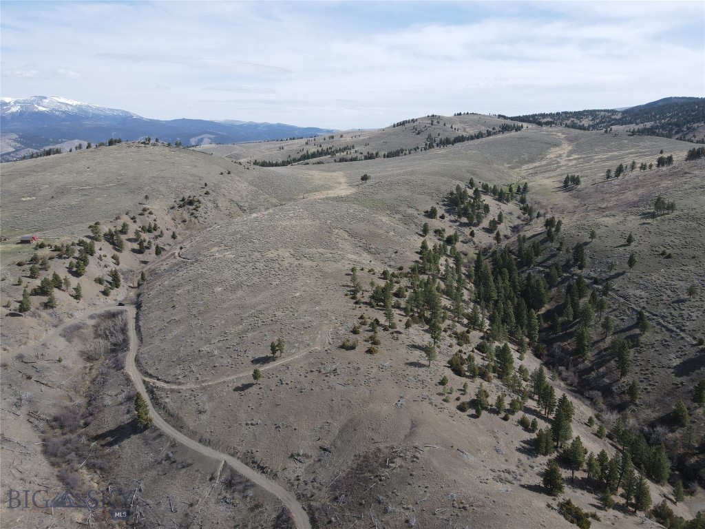 55 Upper Ross Gulch Property Photo 17