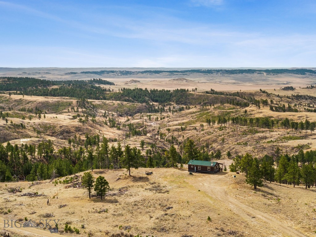 2168 Trophy Ridge Property Photo 1