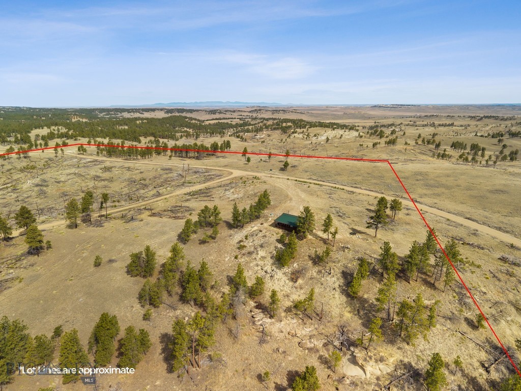 2168 Trophy Ridge Property Photo 3