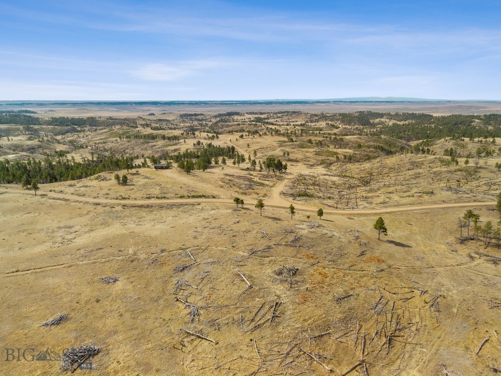 2168 Trophy Ridge Property Photo 5