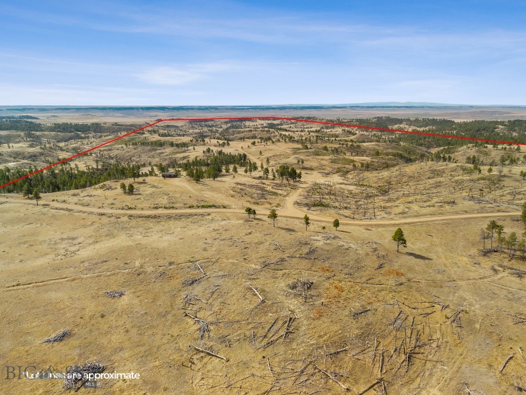 2168 Trophy Ridge Property Photo 6
