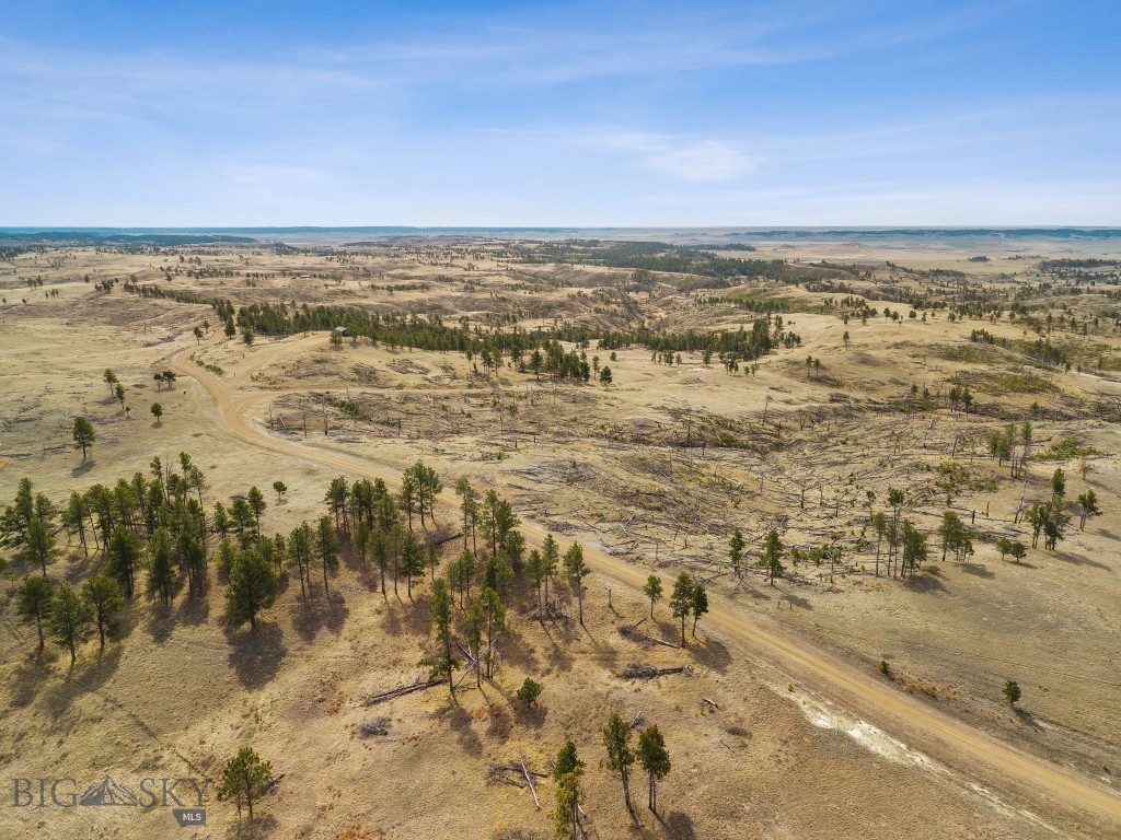 2168 Trophy Ridge Property Photo 7