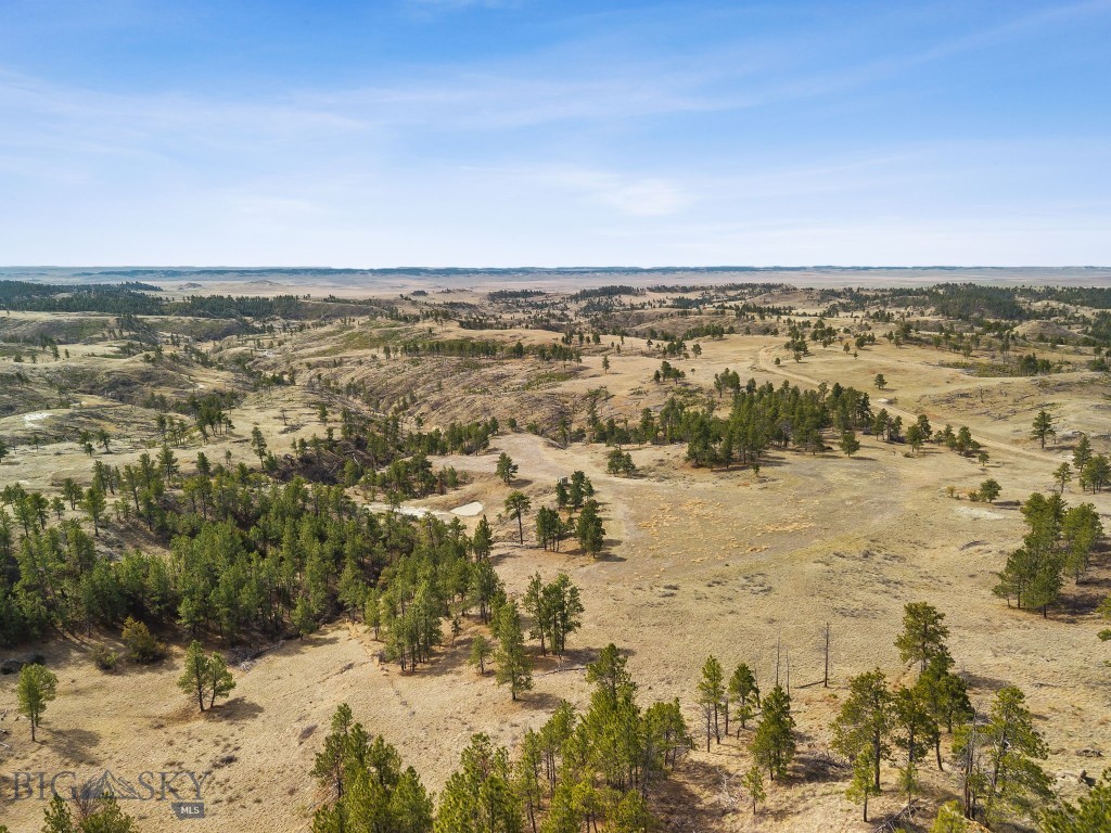 2168 Trophy Ridge Property Photo 9