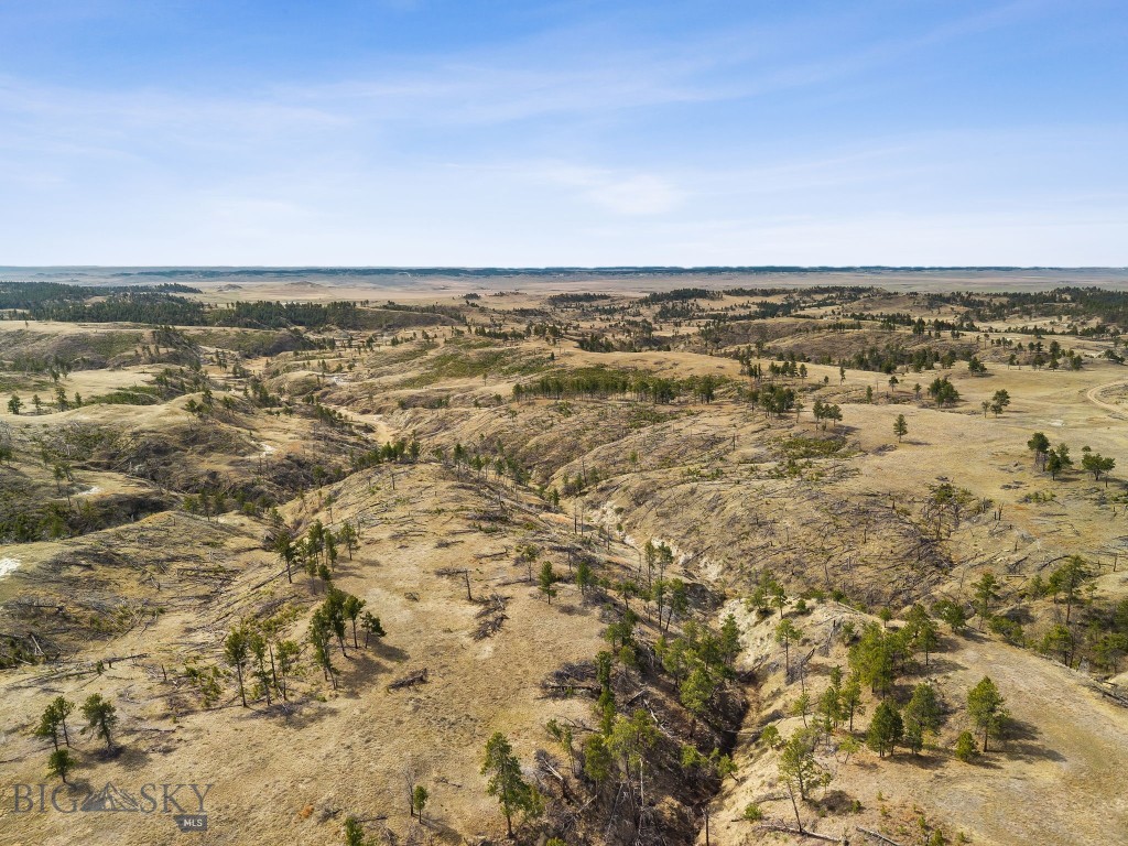 2168 Trophy Ridge Property Photo 10