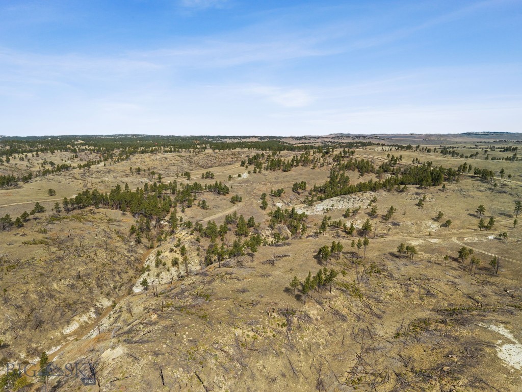 2168 Trophy Ridge Property Photo 12