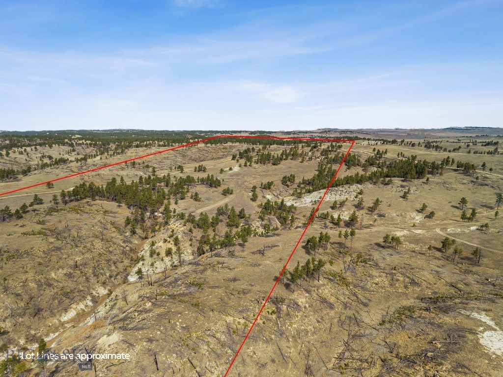 2168 Trophy Ridge Property Photo 13