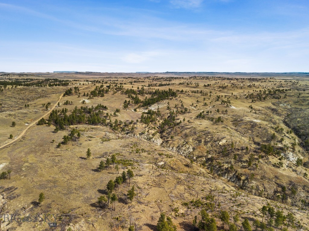 2168 Trophy Ridge Property Photo 15