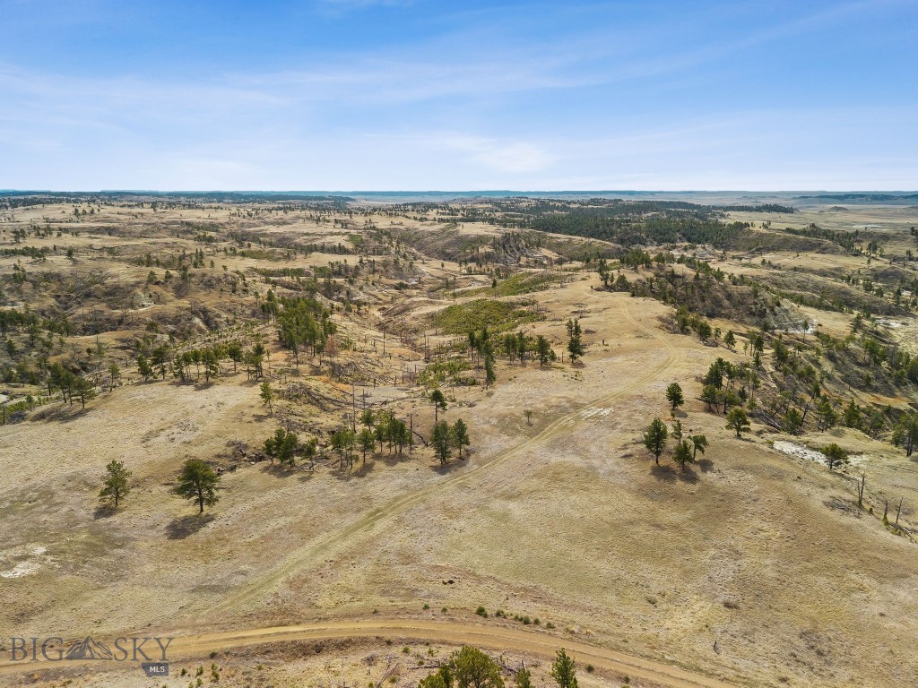 2168 Trophy Ridge Property Photo 17