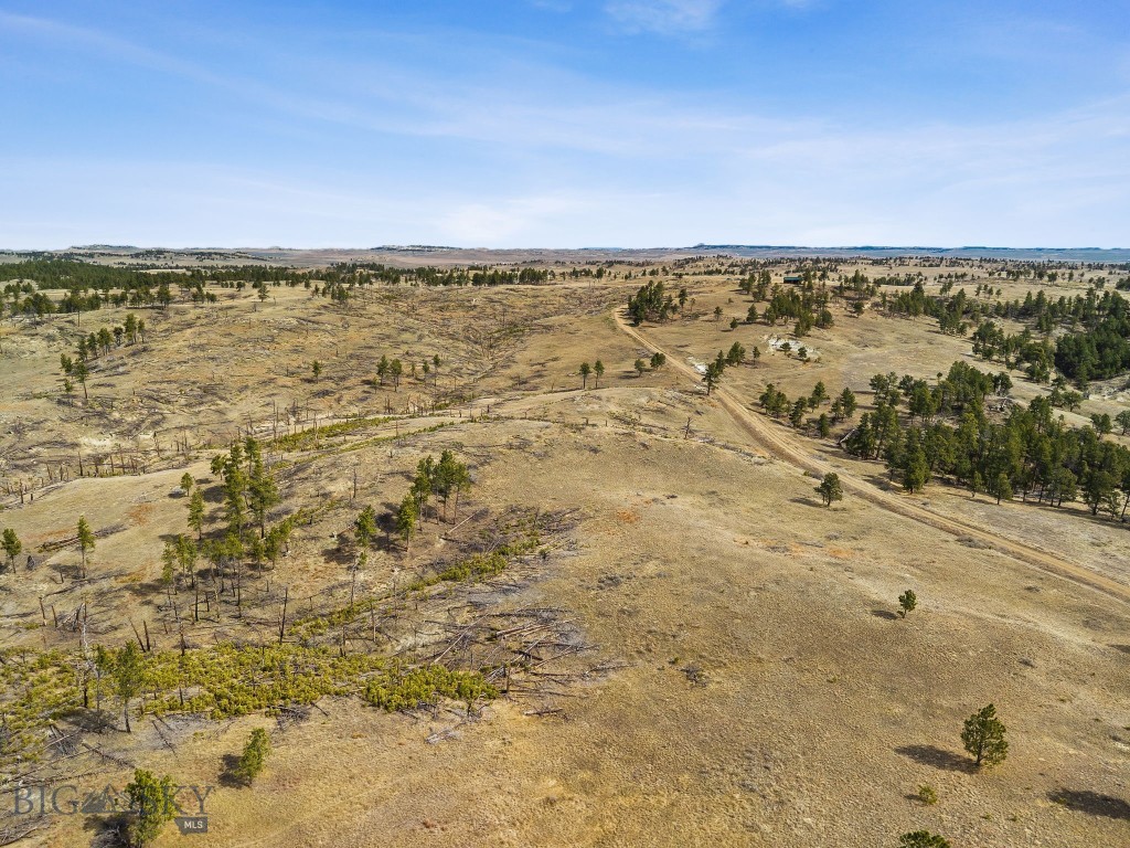 2168 Trophy Ridge Property Photo 18