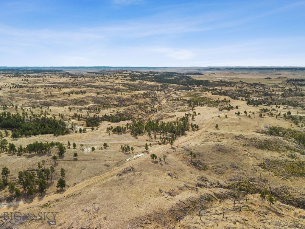 2168 Trophy Ridge Property Photo 19