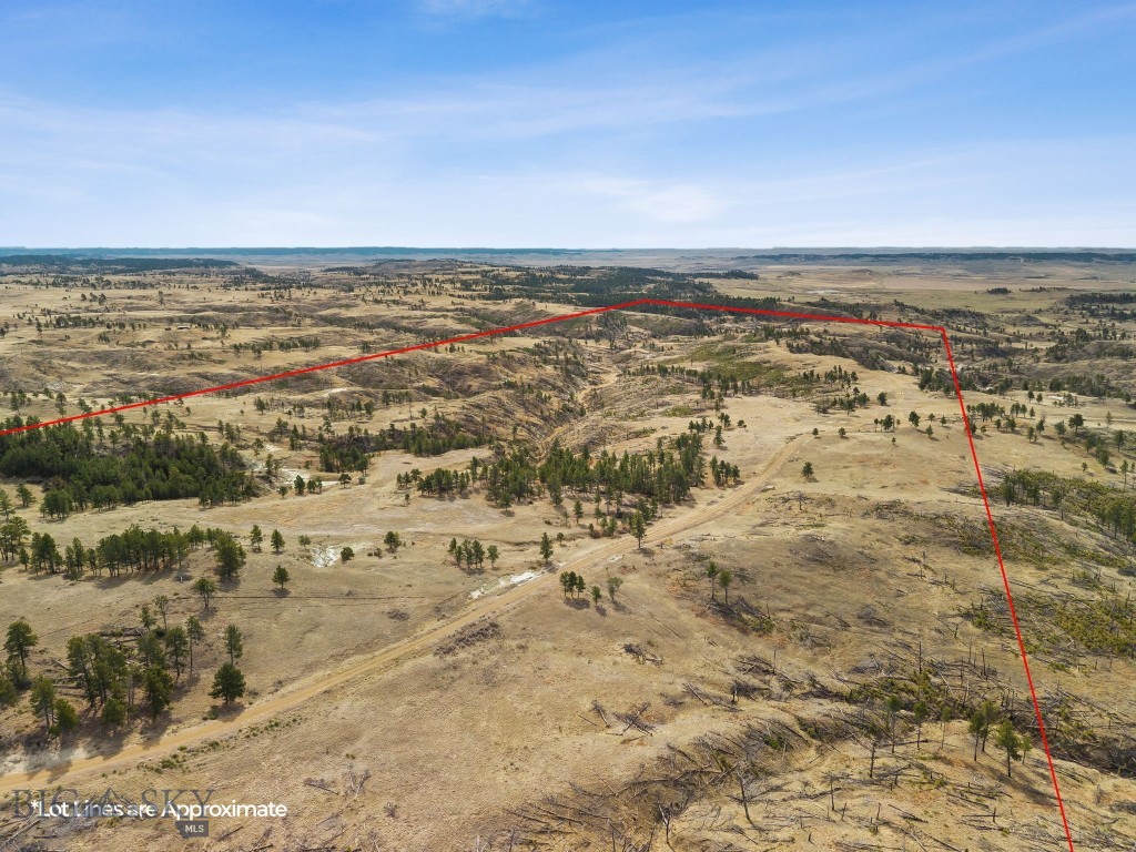 2168 Trophy Ridge Property Photo 20