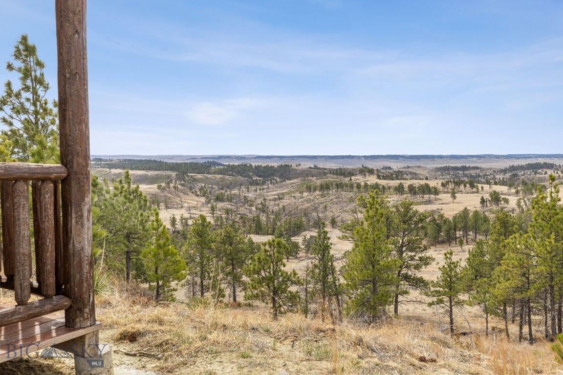 2168 Trophy Ridge Property Photo 44