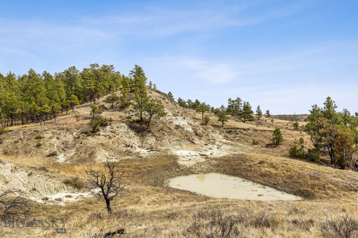 2168 Trophy Ridge Property Photo 47