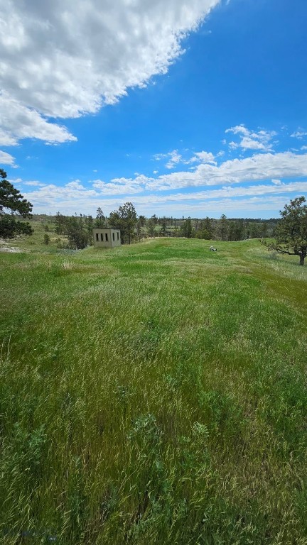 2168 Trophy Ridge Property Photo 50