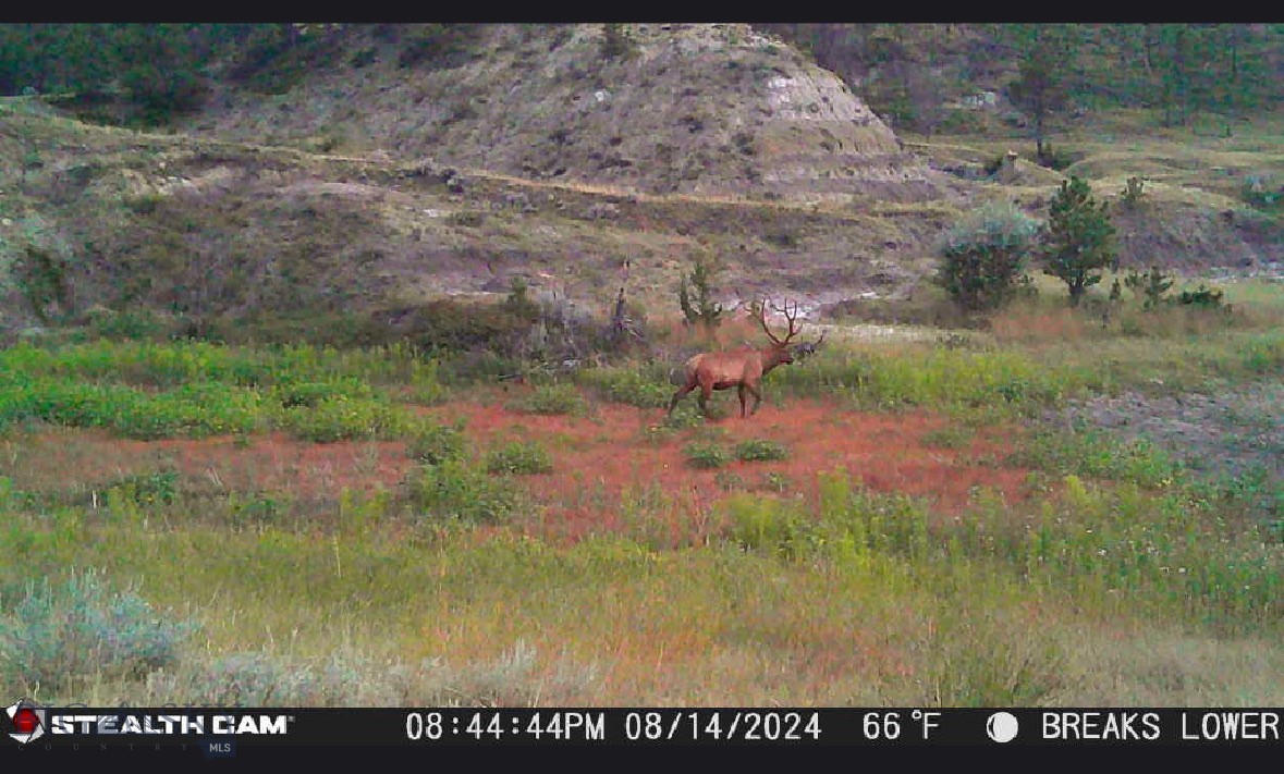 2168 Trophy Ridge Property Photo 54