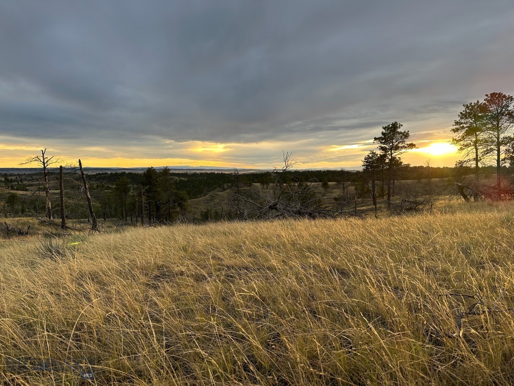 2168 Trophy Ridge Property Photo 61