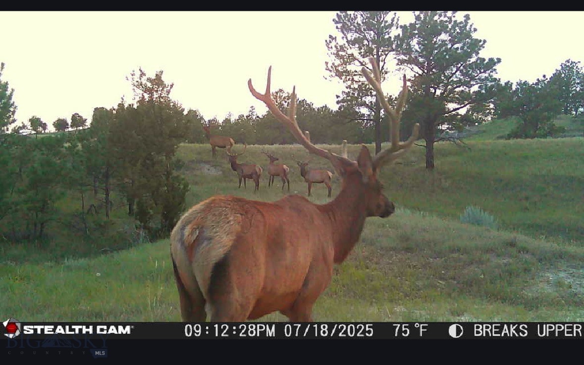 2168 Trophy Ridge Property Photo 65