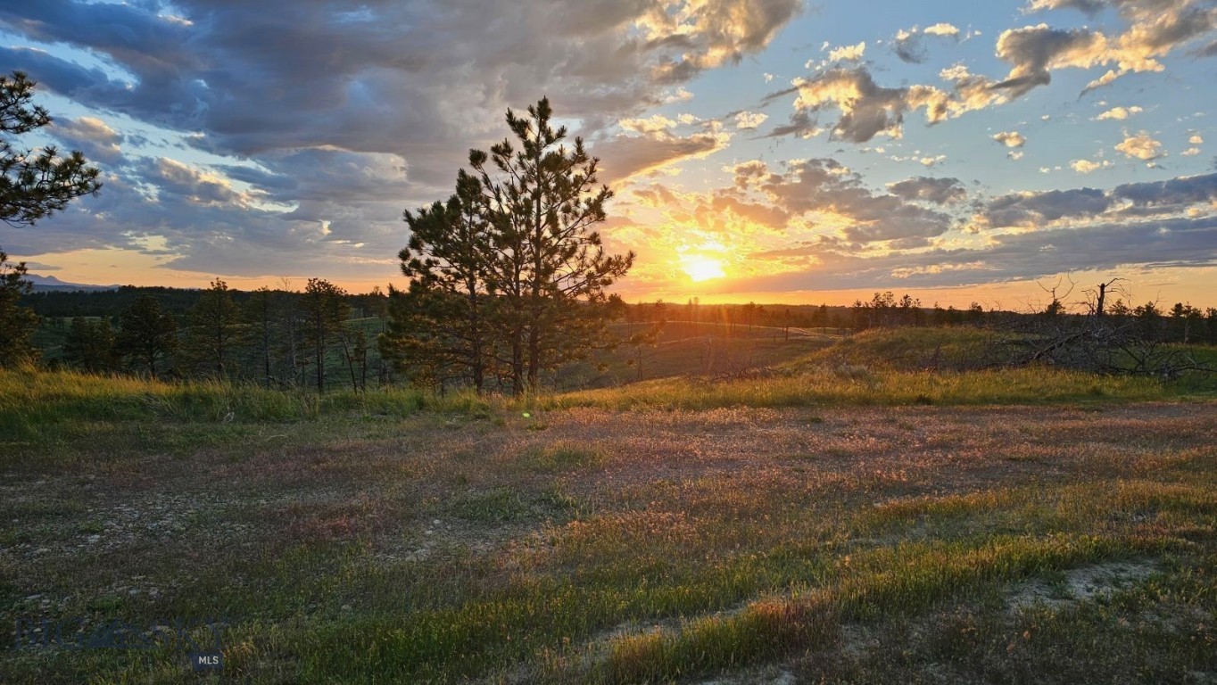 2168 Trophy Ridge Property Photo 72