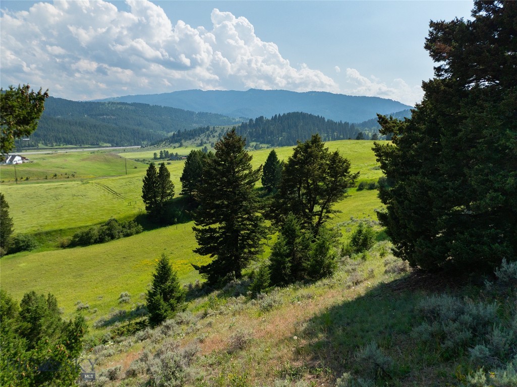 Parcel 6 Jackson Creek Property Photo 5